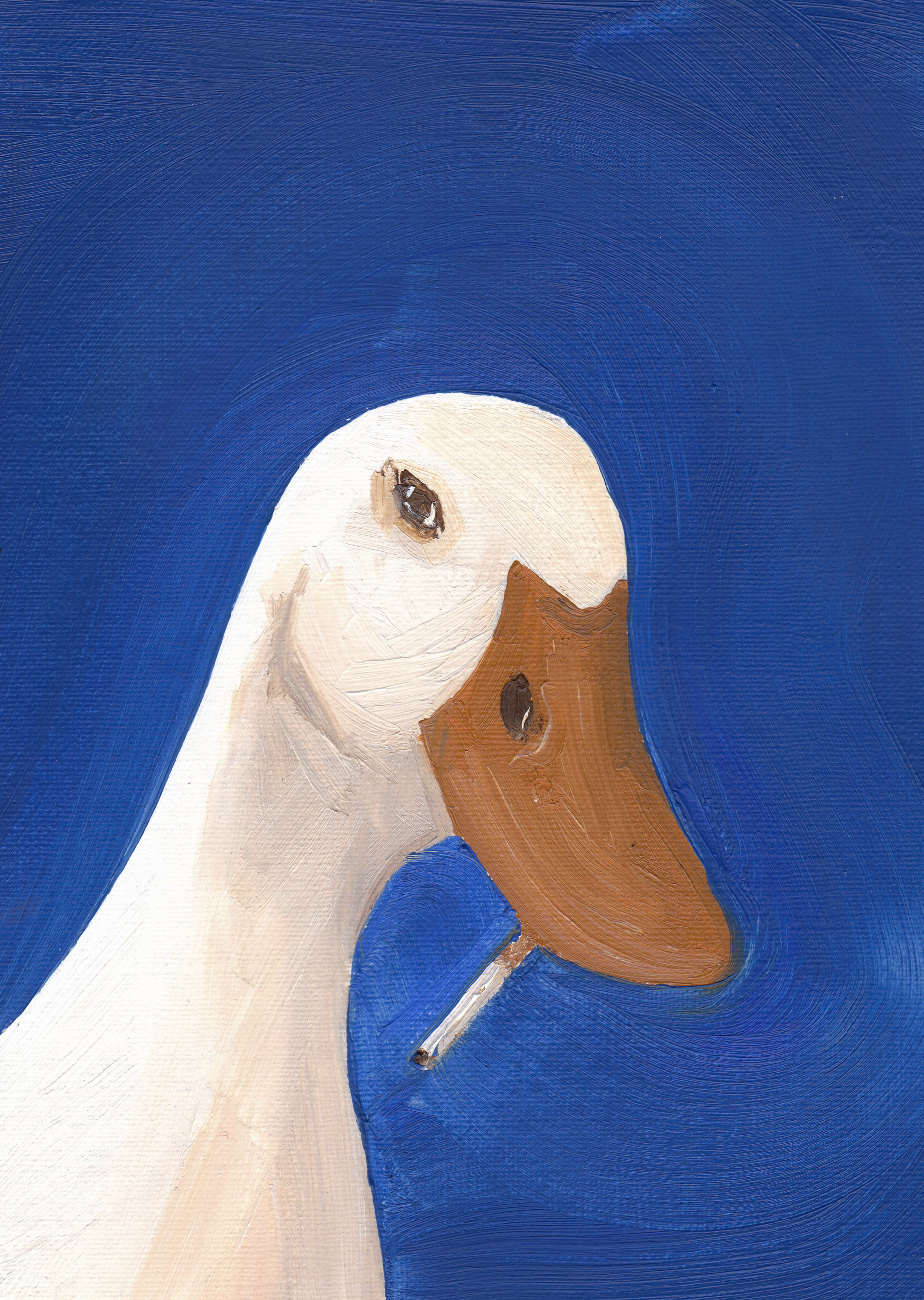 Smoking Duck the 4th Print