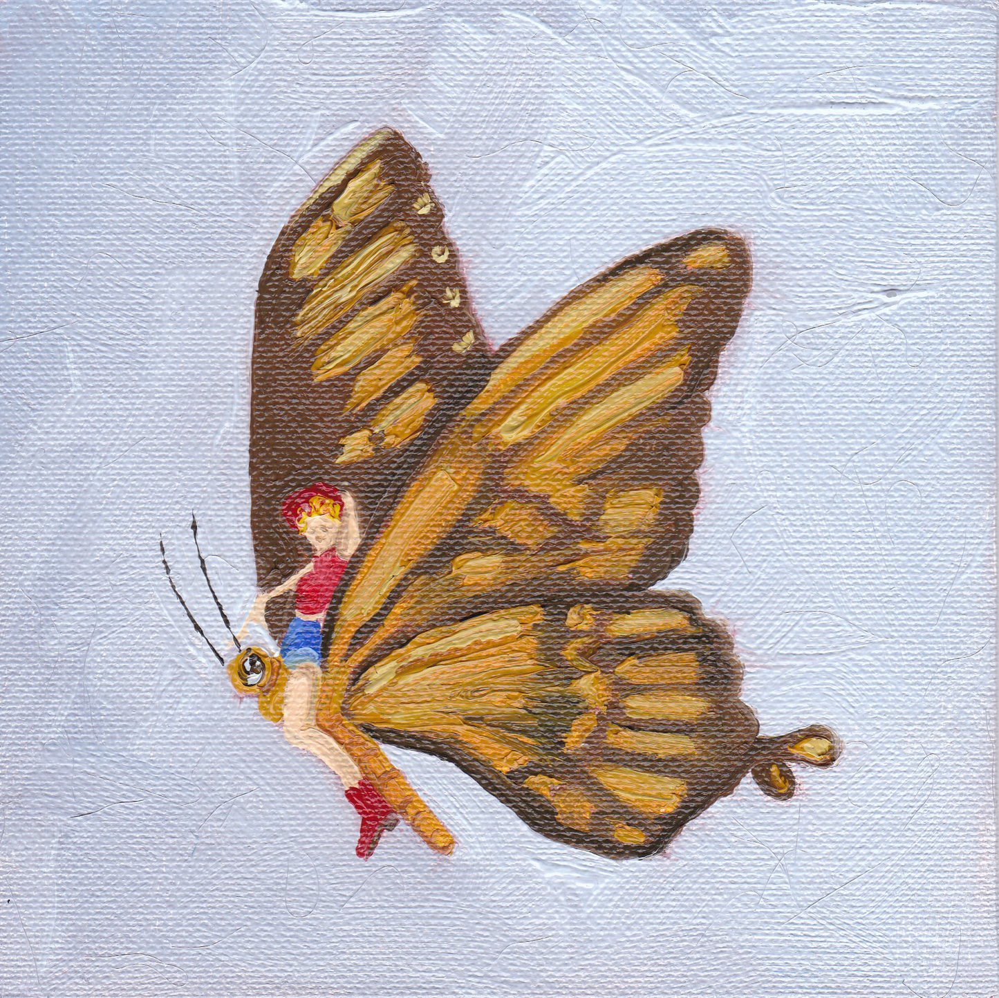 Butterfly Cowgirl Print