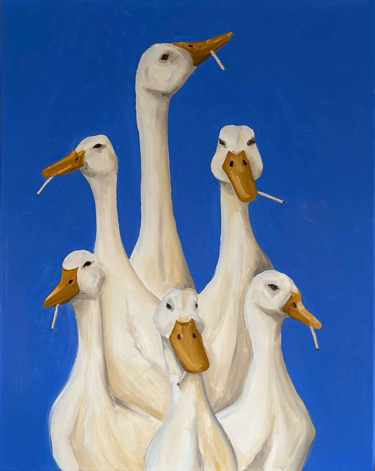 Six Ducks Original