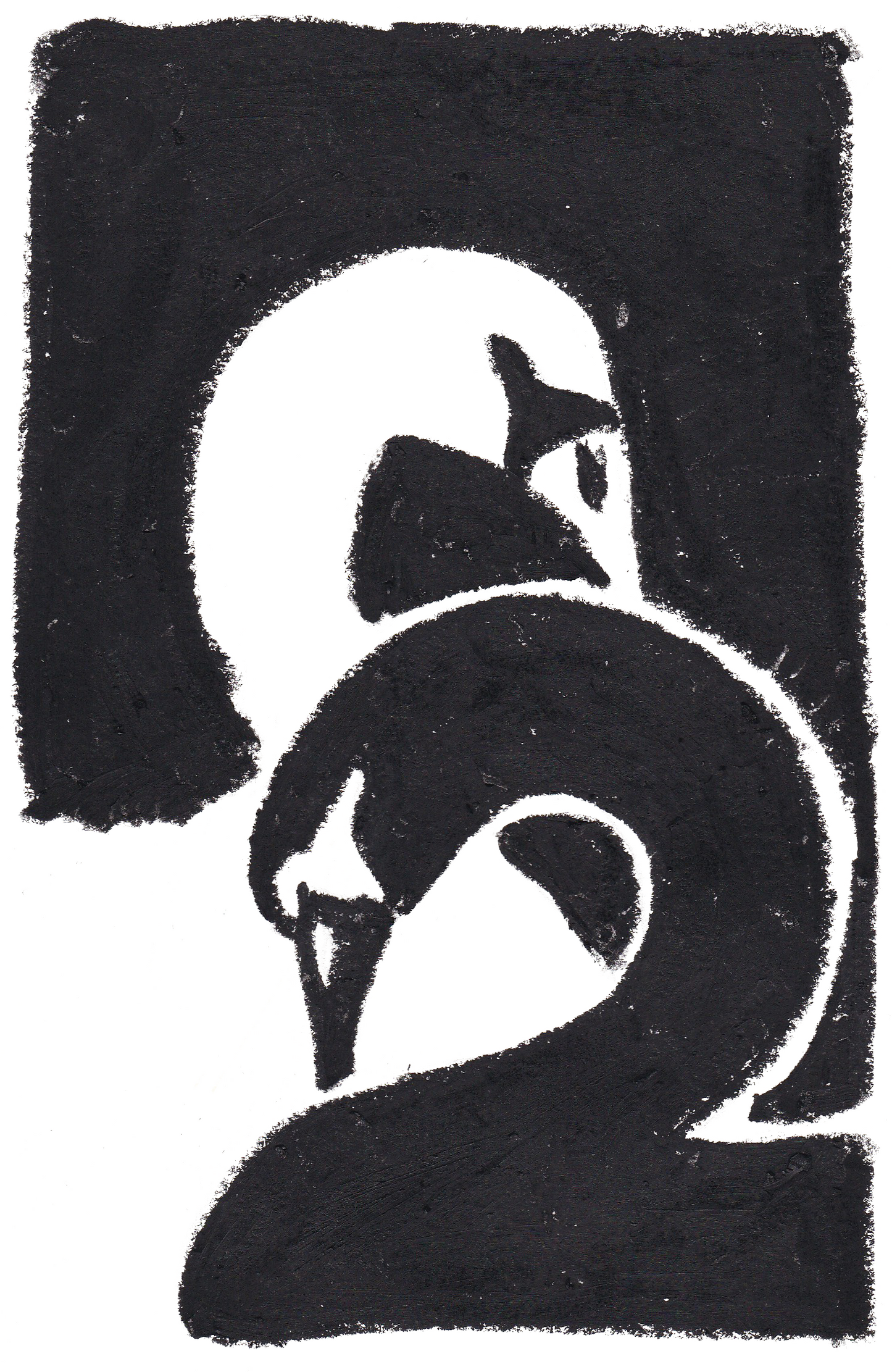 Black and White Swans Print