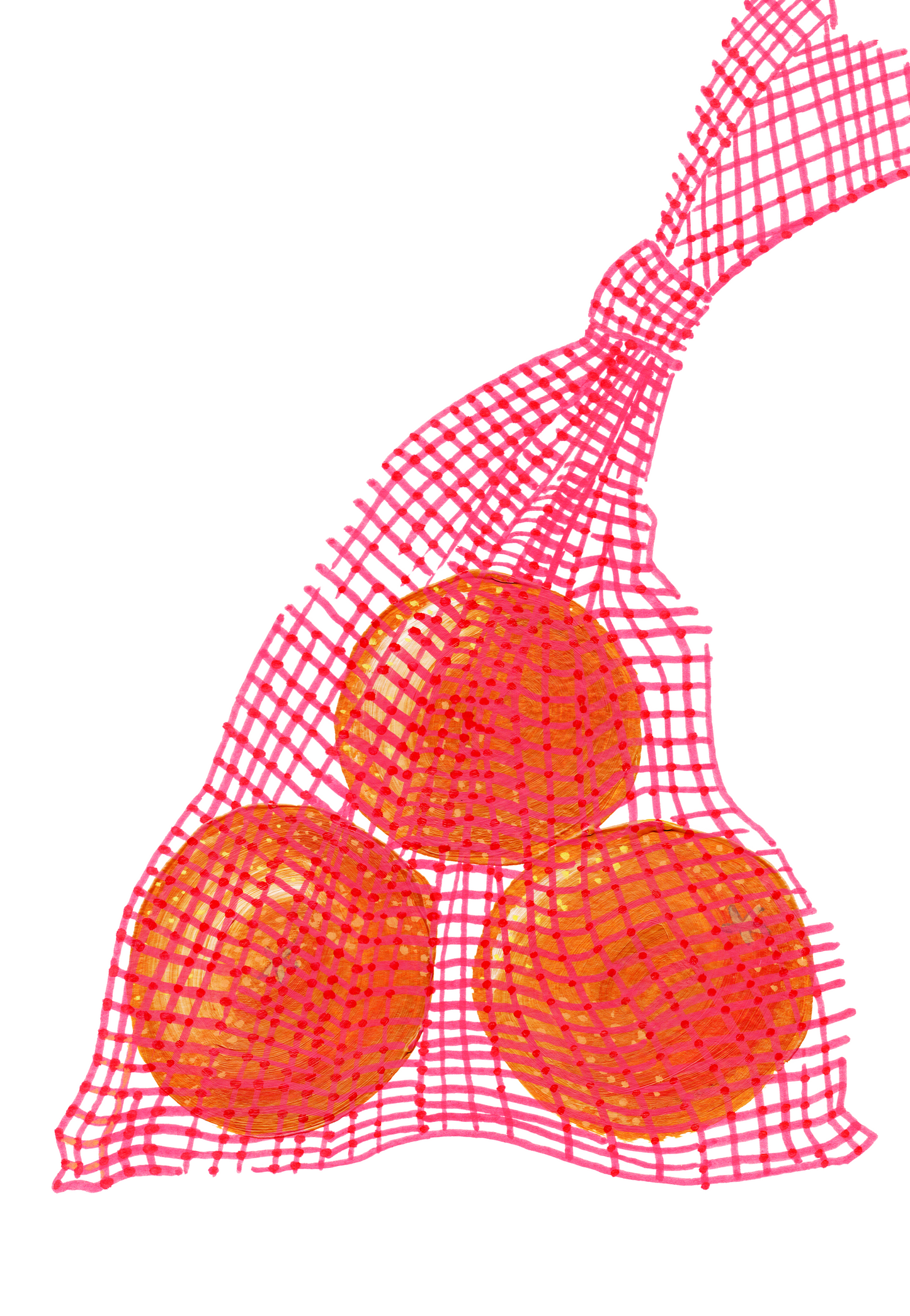 Navel Oranges Print
