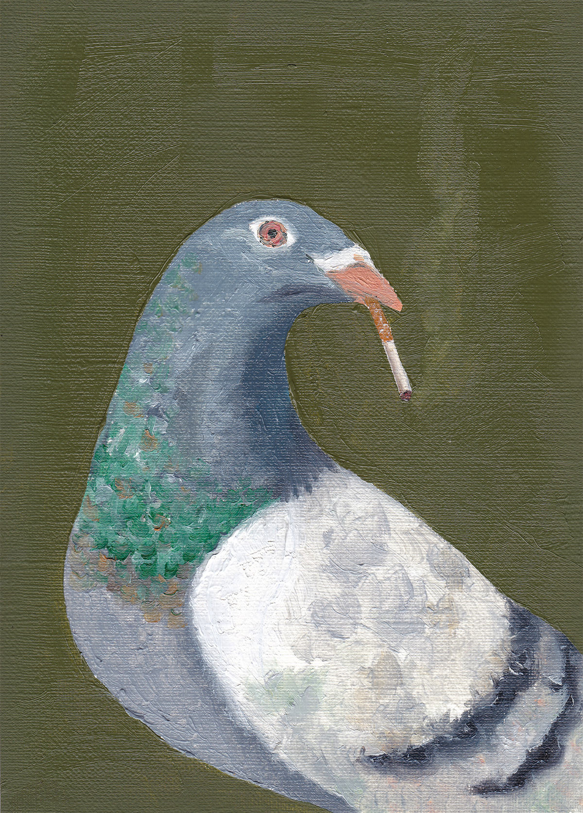 Stoking Pigeon Original